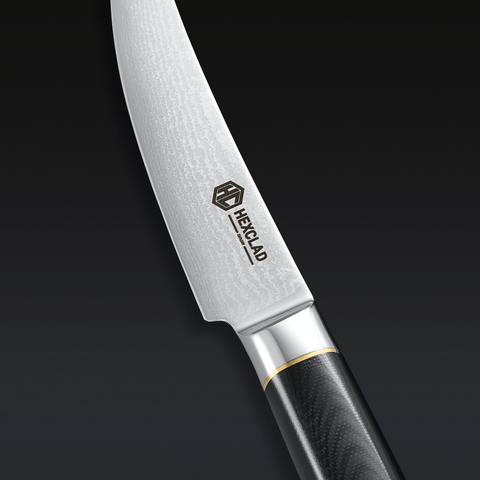 Master Series Japanese Damascus Steel Knife Set, 7pc – HexClad