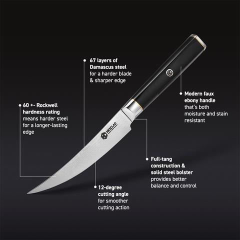 $30 Gordon Ramsay Knife Vs $400 Japanese Knife 