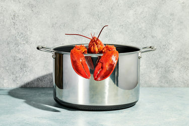 Lobster in 12qt Stock Pot against grey background