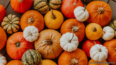 The Best Pumpkin Ideas For Fall