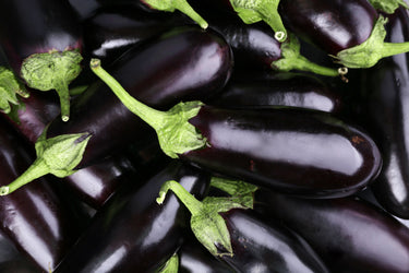 purple eggplants on the vine