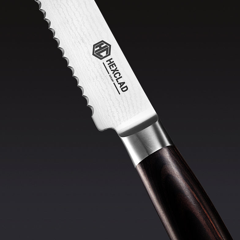 Damascus Steel Serrated Bread Knife, 8" (Espresso)