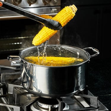 Hybrid Stock Pot With Lid (8-Quart)